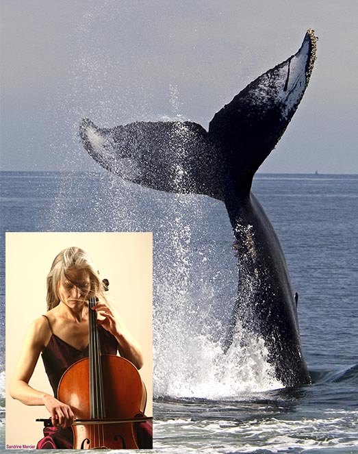 BaleineBirgit