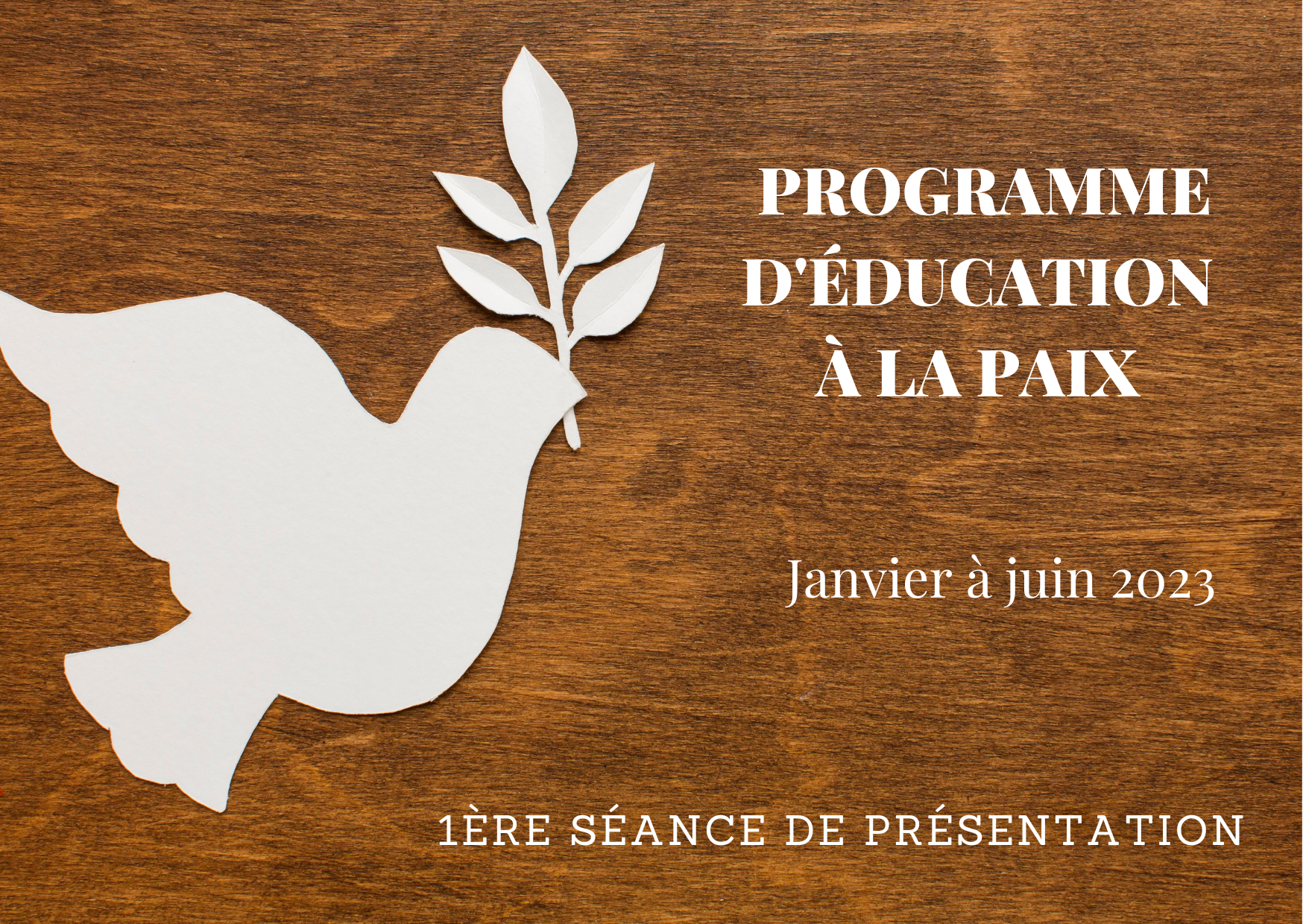 PROGRAMME D'ÉDUCATION À LA PAIX Janvier à juin 2023.png